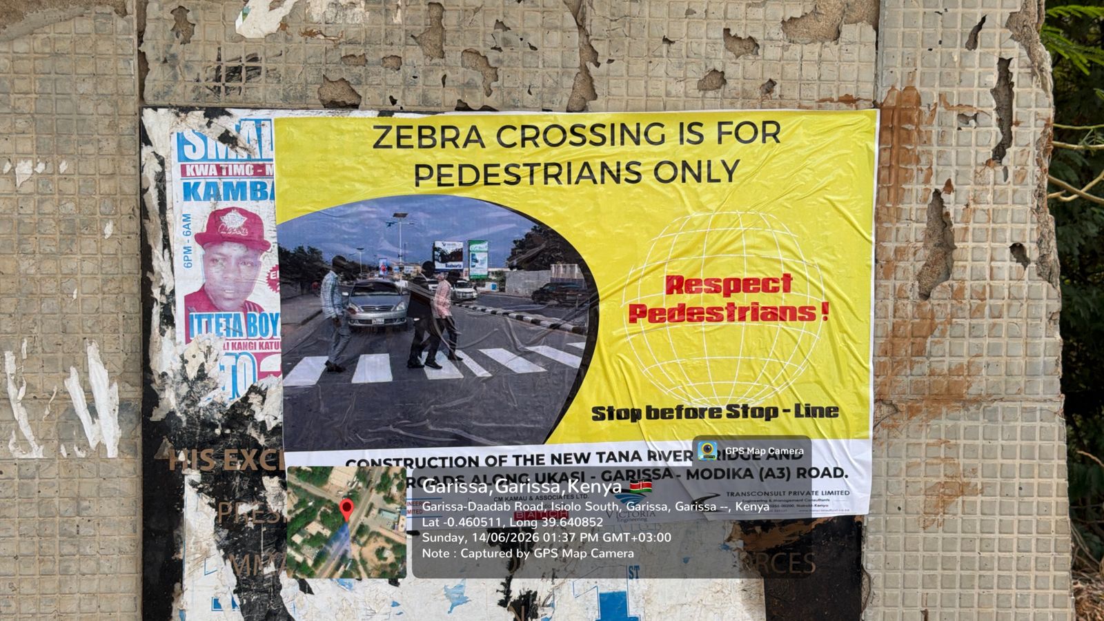 Zebra Crossing Safety